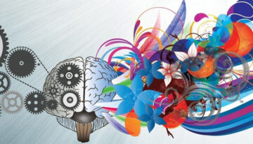 814 Imagination